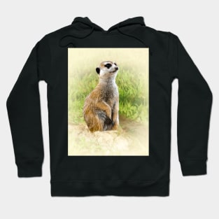 Meerkat Hoodie